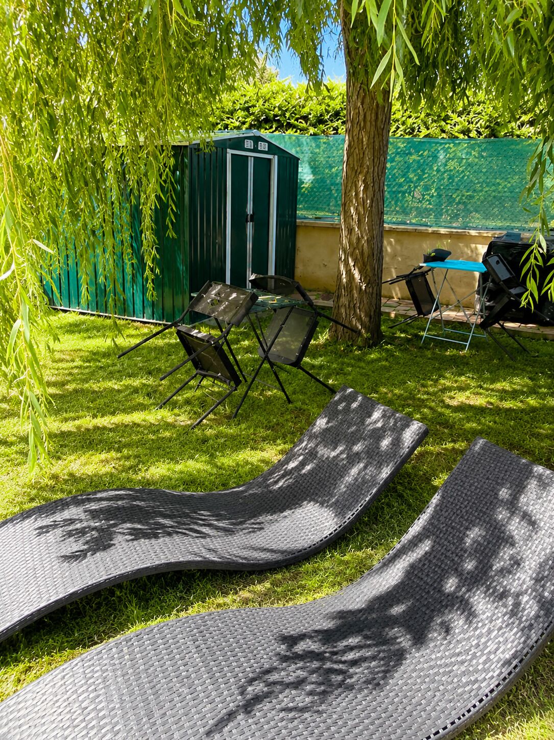 A grassy outdoor area with a tree, a green shed, and two black lounge chairs.