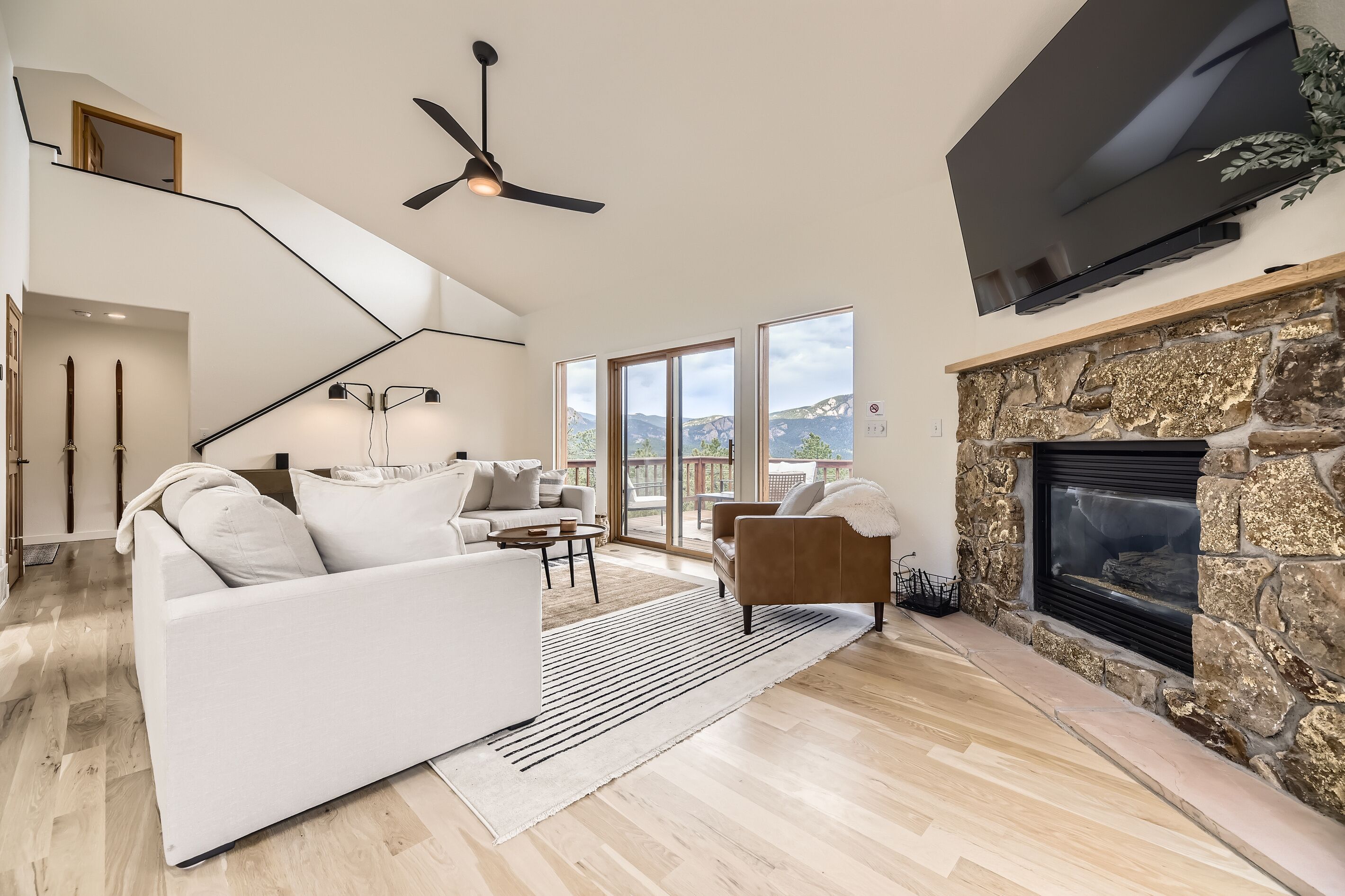 Smart TV, fireplace, DVD player, books