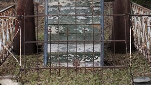 A bell tower with two flags, surrounded by a metal fence and trees. - Enjoy Longhorns at Texas Ranch House near Canyon Lake & Gruene – Sleeps 12 (New Braunfels)