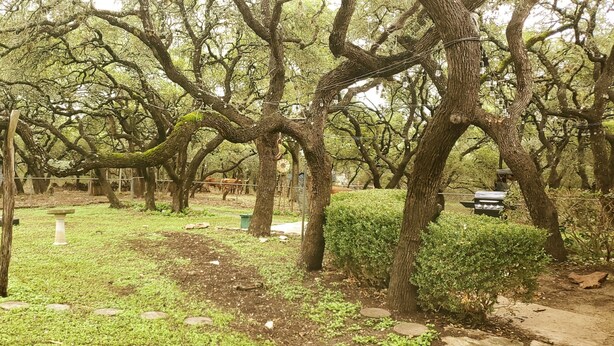A park with trees, a pathway, and a small structure. - Enjoy Longhorns at Texas Ranch House near Canyon Lake & Gruene – Sleeps 12 (New Braunfels)