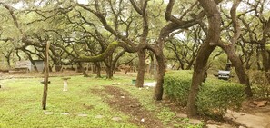 A park with trees, a pathway, and a small structure. - Enjoy Longhorns at Texas Ranch House near Canyon Lake & Gruene – Sleeps 12 (New Braunfels)