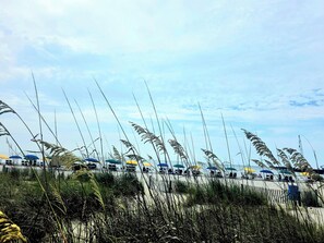 A beach with tall grasses in the foreground and beach umbrellas in the background. - Carolinian Resort  Ocean View Condo (Myrtle Beach)