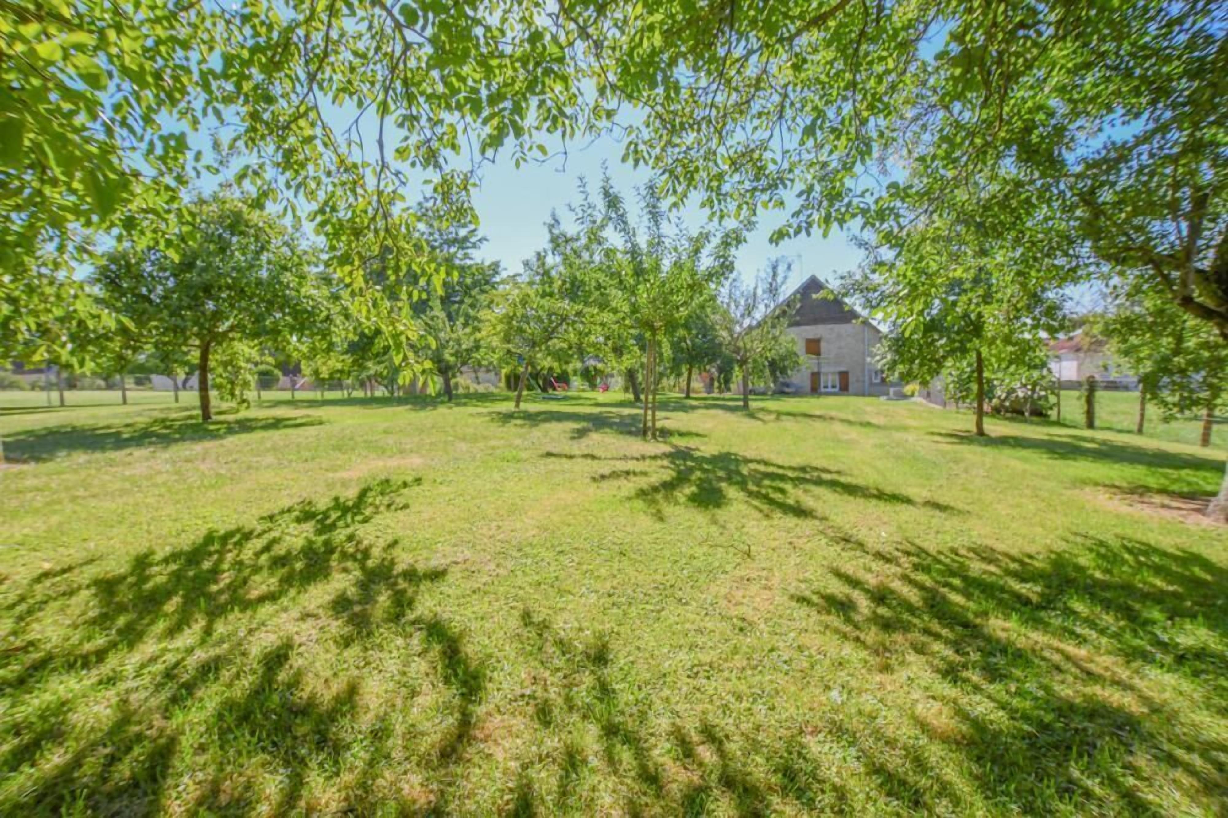 A grassy outdoor area with trees and a building in the background.
