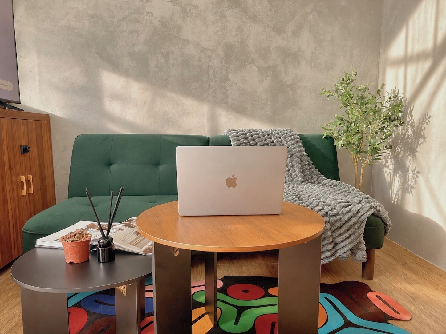 Une pièce avec un canapé vert, une table ronde en bois sur laquelle se trouve un ordinateur portable, une petite table d’appoint avec une plante et un tapis coloré.