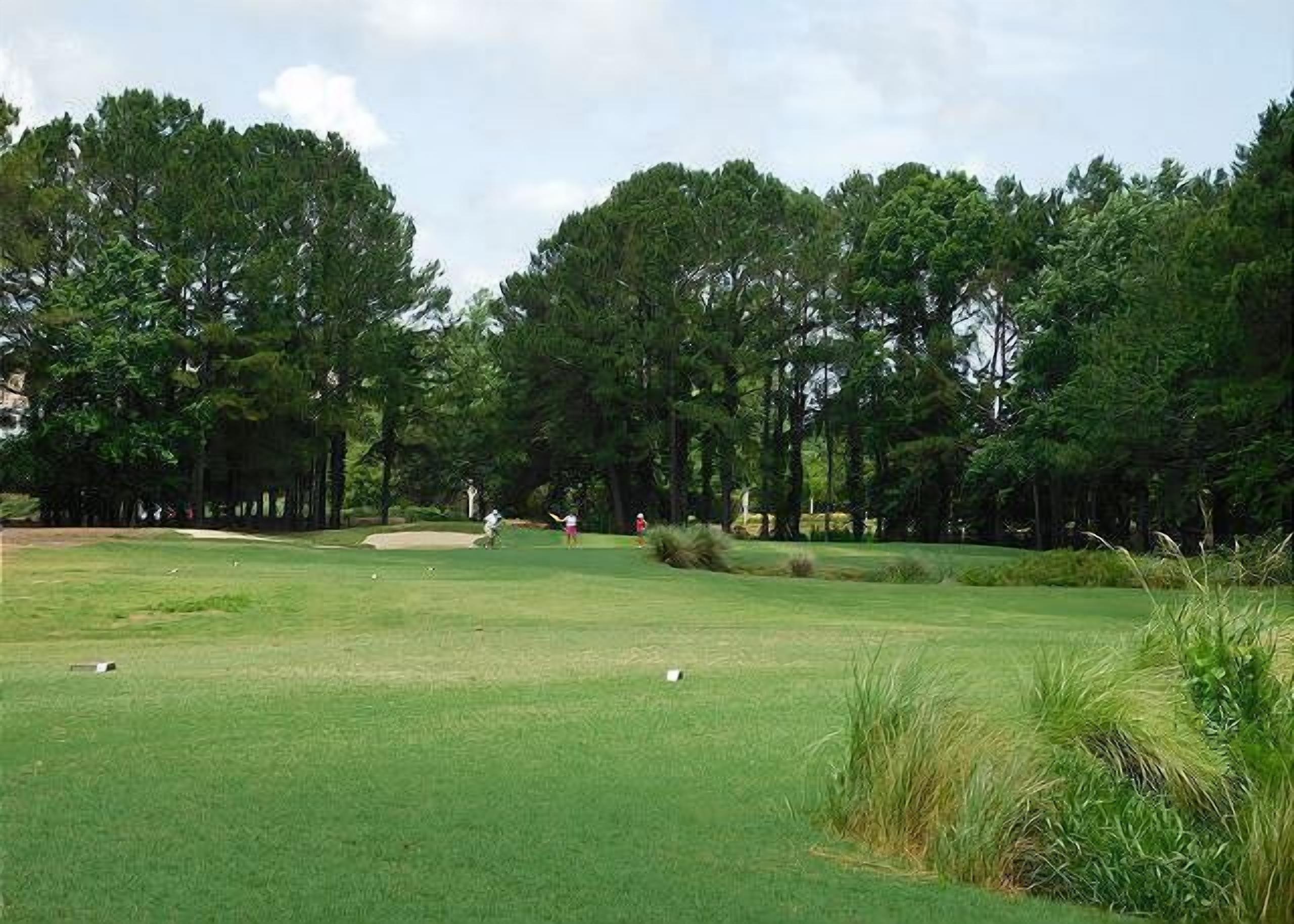 A golf course with a putting green, sand bunkers, and trees in the background.
