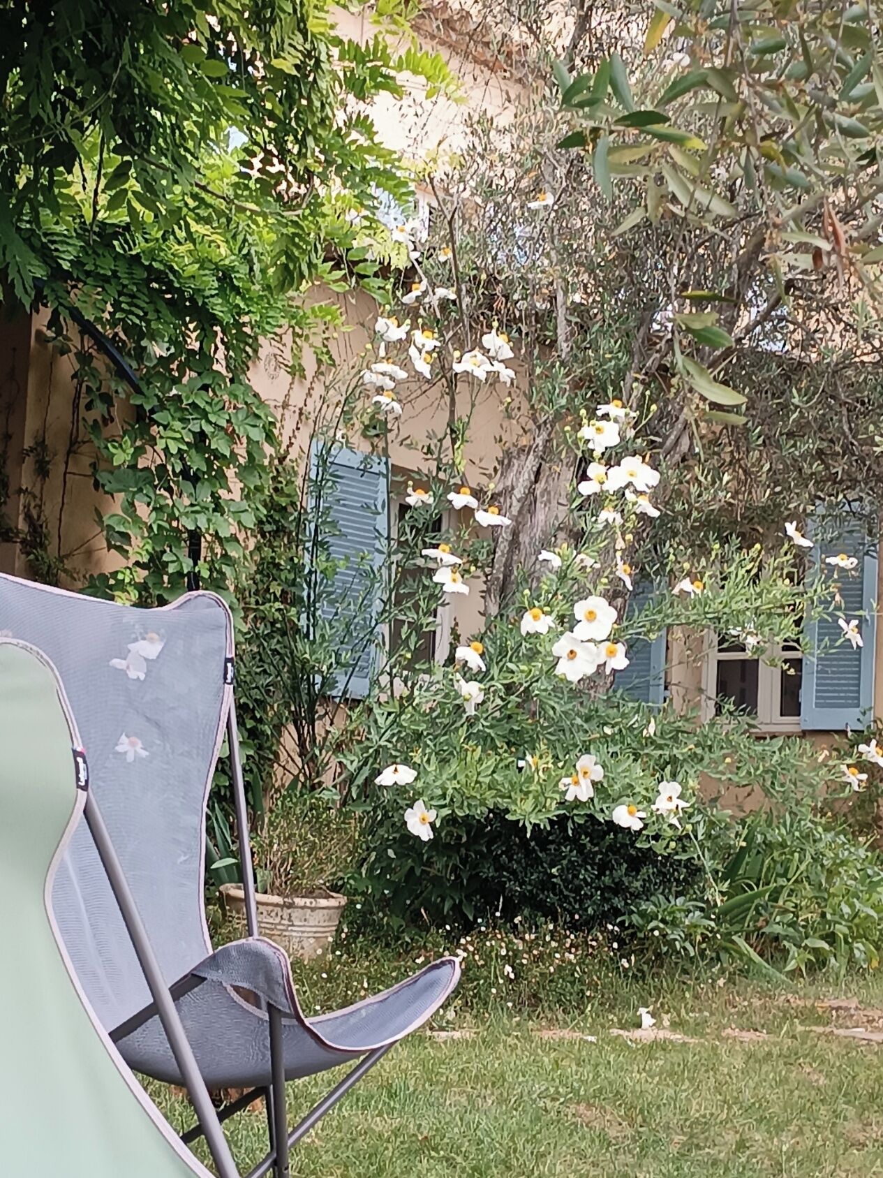 Un jardí amb una cadira, un arbre amb flors blanques i un edifici amb persianes blaves.