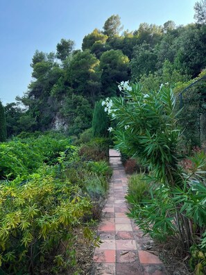 A pathway leading through a garden with various plants and trees. - Stunning villa with a pool and ocean view, Mediterranean garden, sleeps 8 (Grasse)