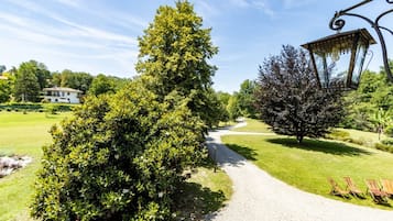 A gravel path leading through a well-maintained garden with a variety of trees and shrubs.