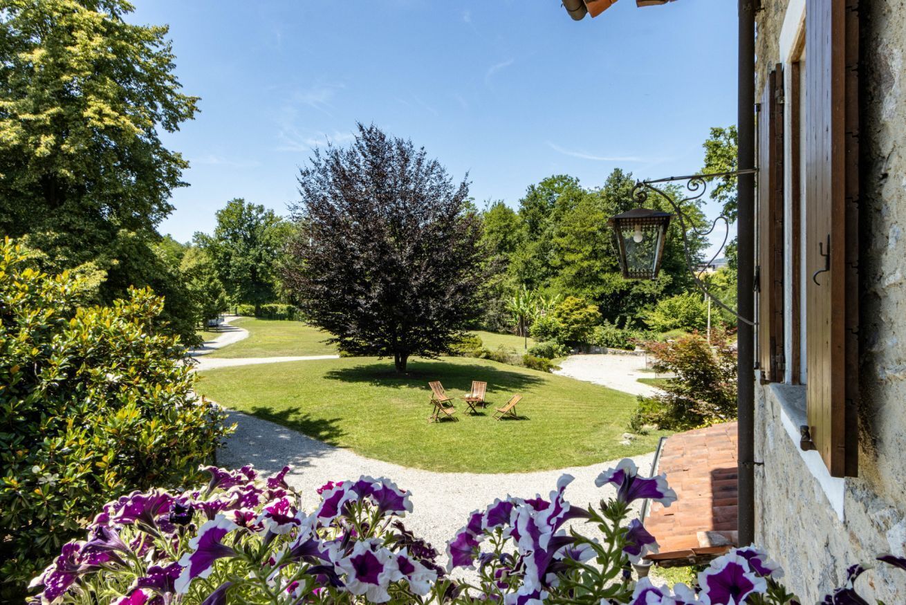 A garden with a lawn, a large tree, and outdoor seating.