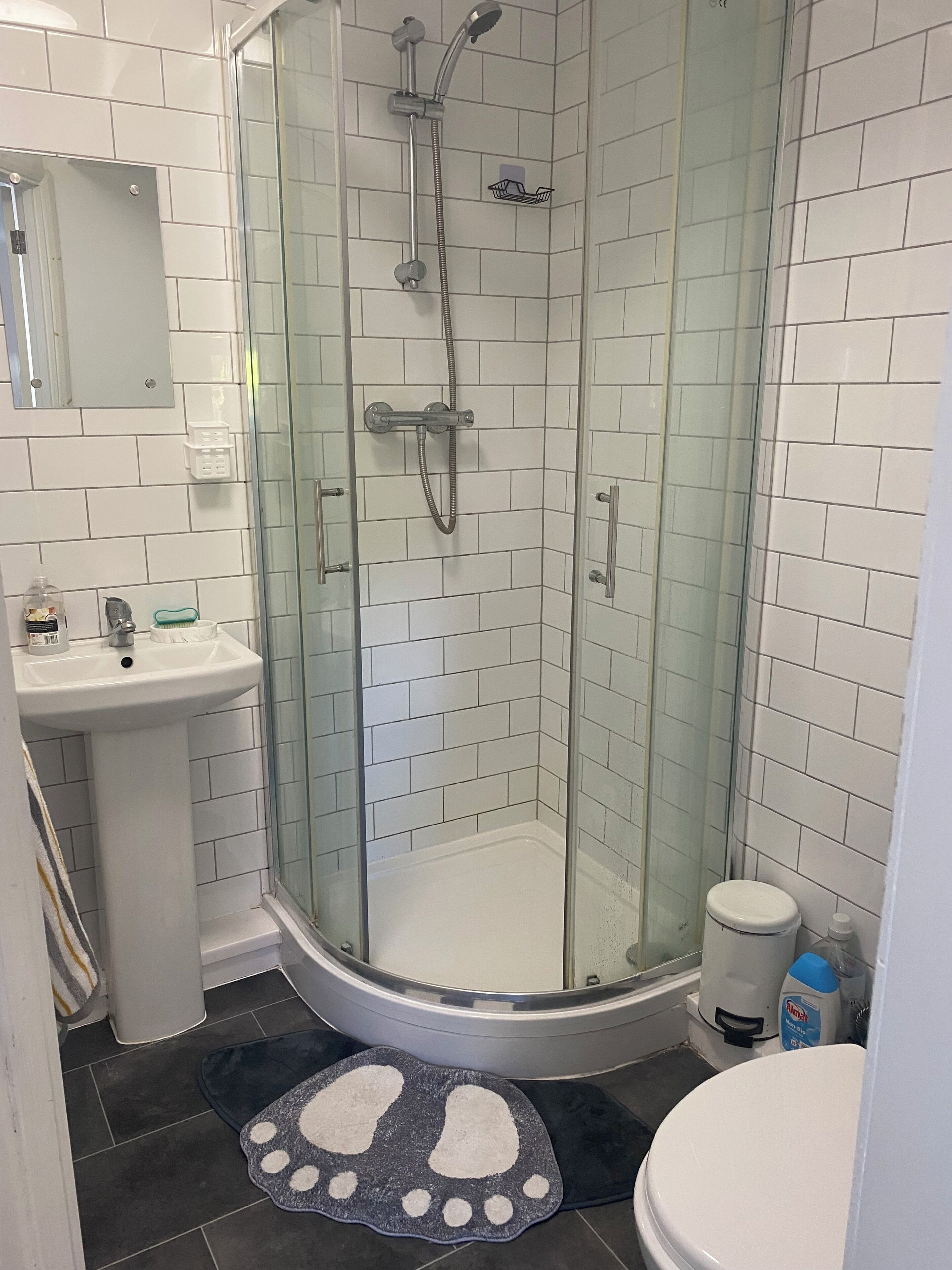 Shower, towels, soap, toilet paper