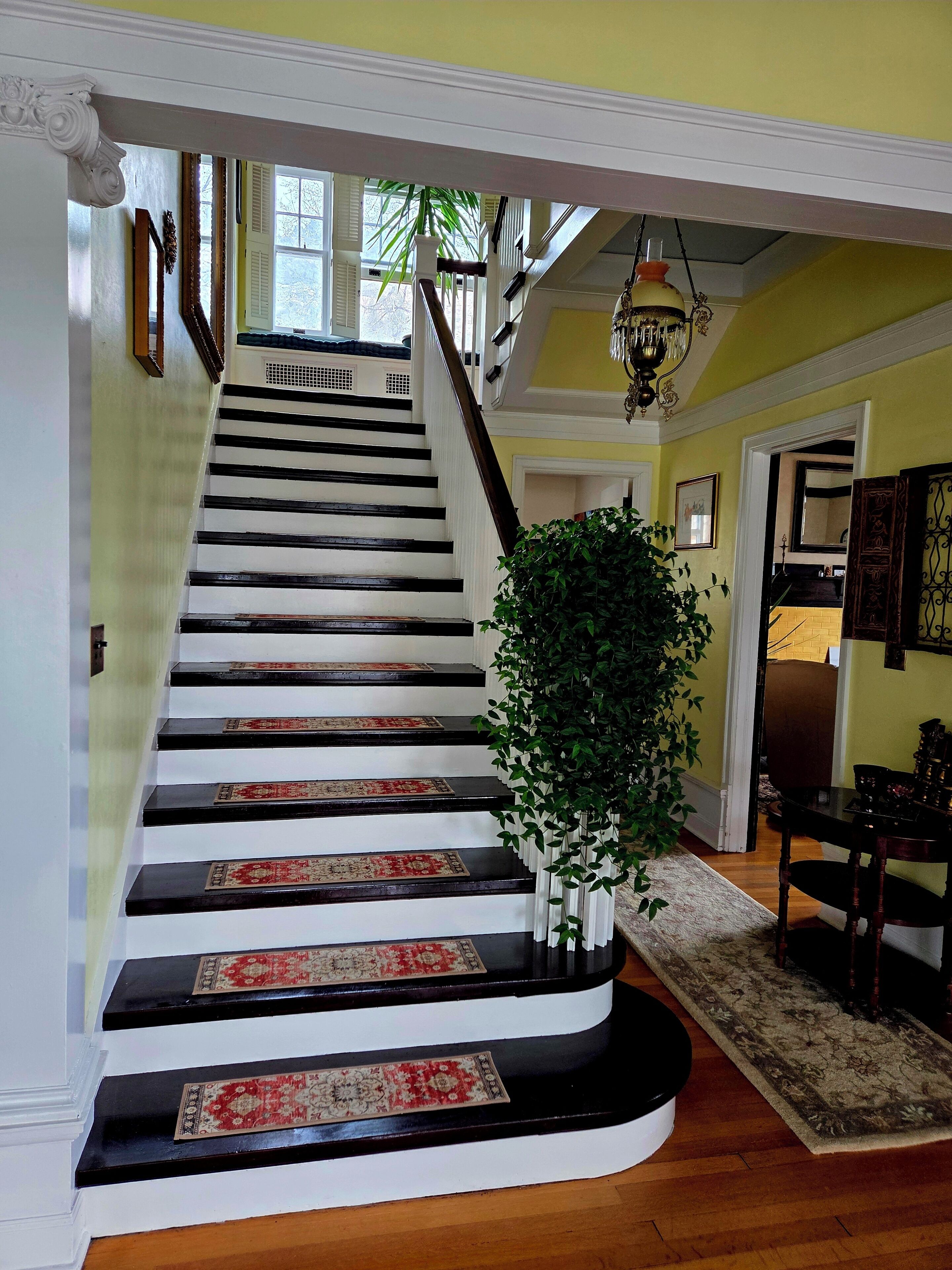 A staircase with black and white steps, a red and beige carpet runner, and a green plant on the right.