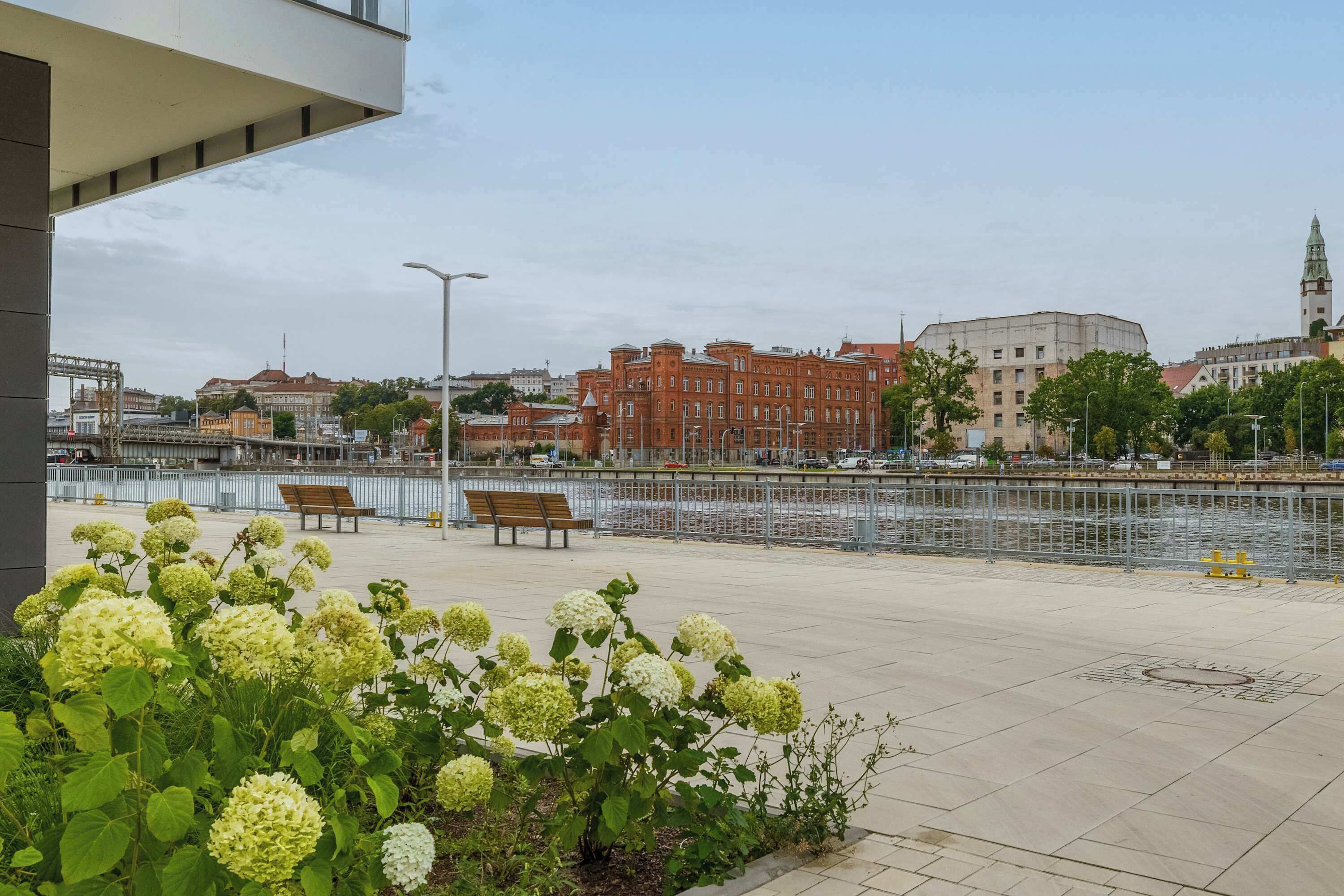 A riverside walkway with benches, a water body, and buildings in the background.