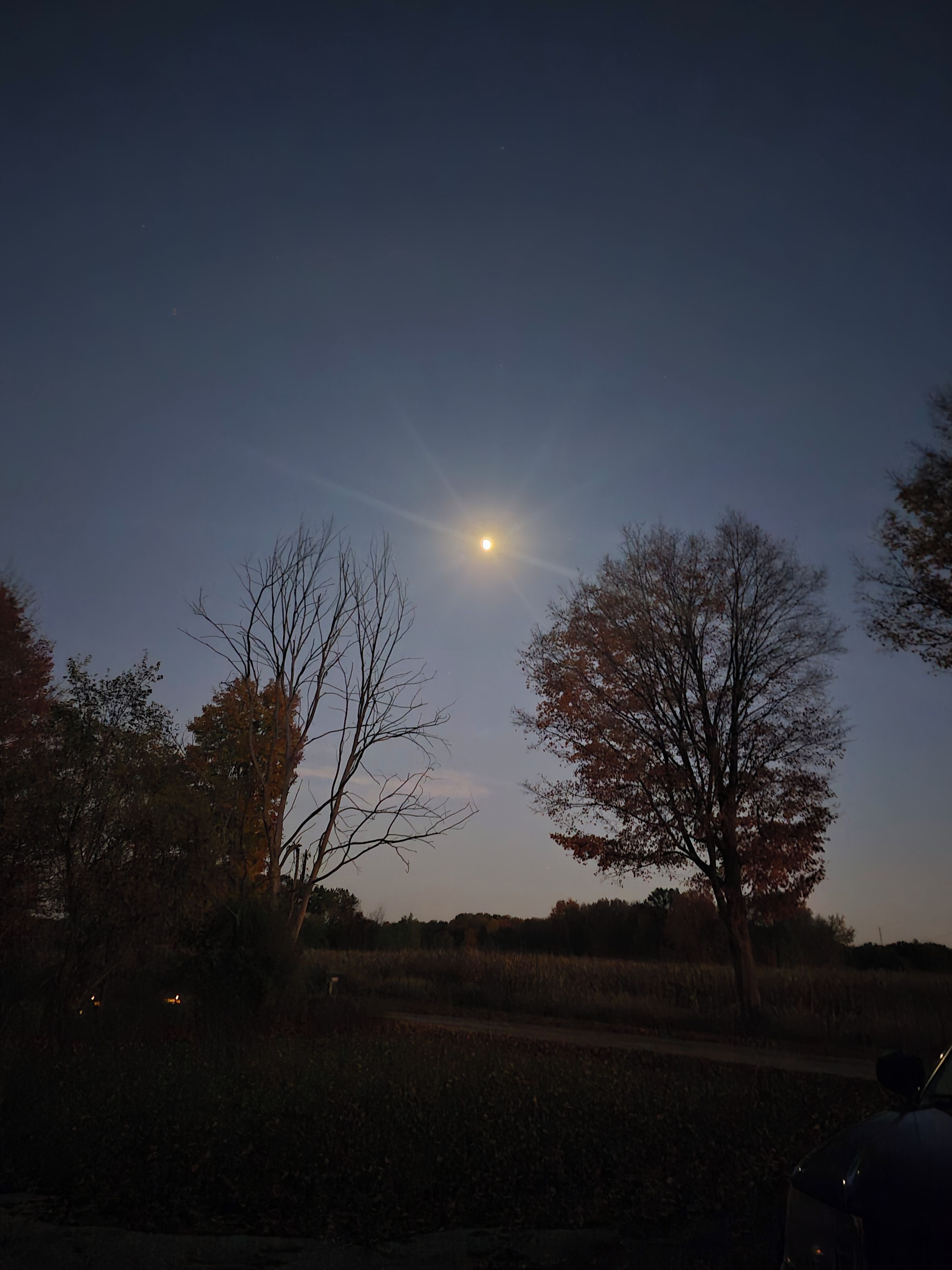 Nachtszene mit klarem Himmel, hellem Mond und Bäumen.