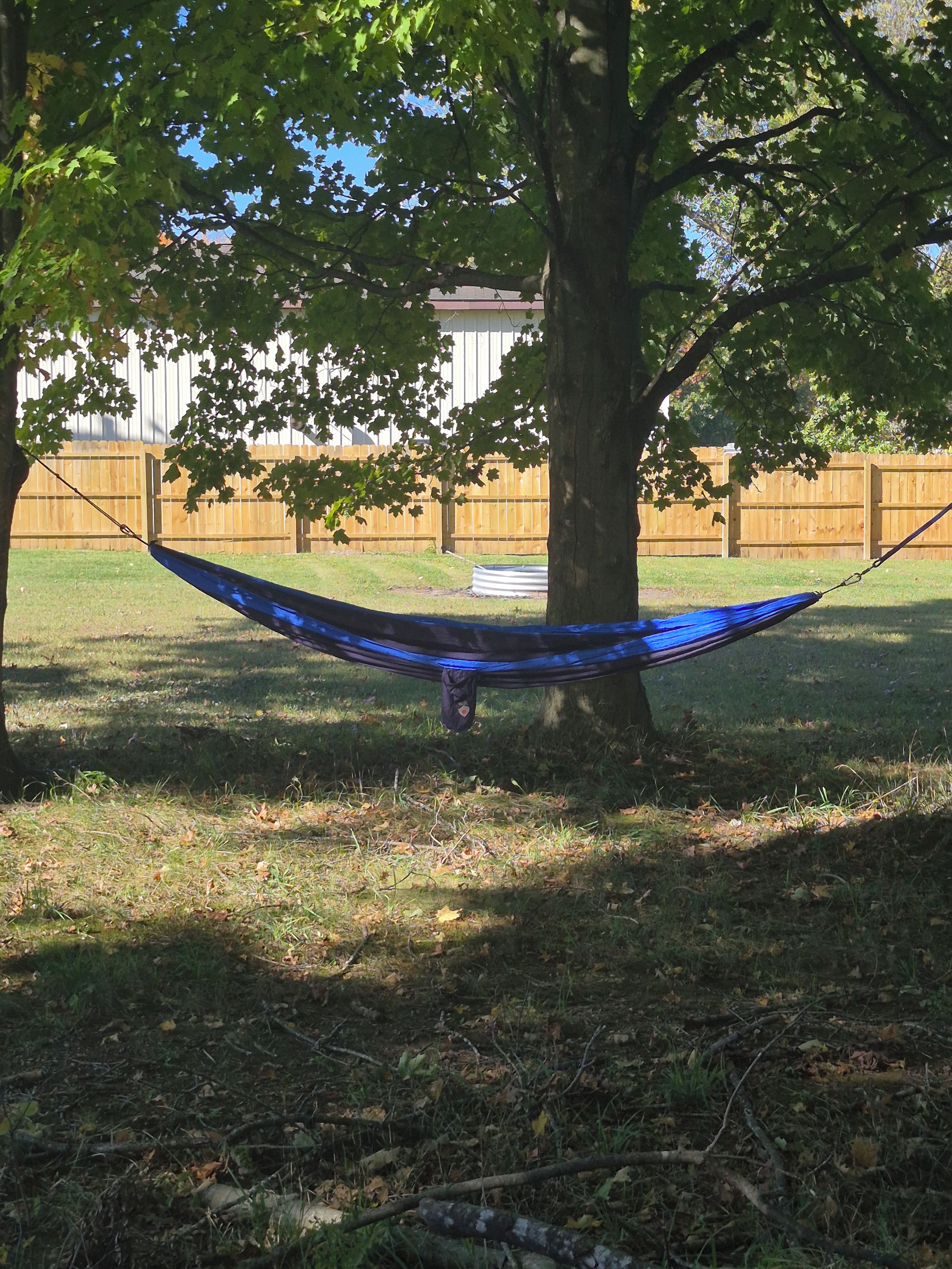 A hammock hanging between two trees in a grassy yard with a wooden fence in the background.