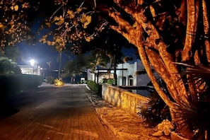 Una calle nocturna con una carretera pavimentada, un muro de piedra y un árbol con hojas amarillas.
