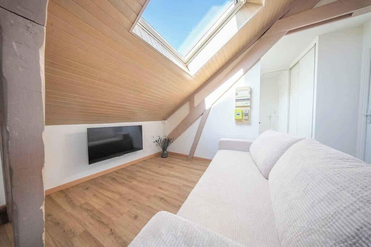 TV og bøker