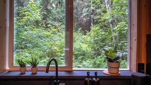 A window with a view of a dense forest. - Forest A-Frame & Sauna : Dog Friendly + Pool (Deming)