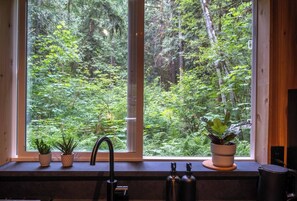 A window with a view of a dense forest. - Forest A-Frame & Sauna : Dog Friendly + Pool (Deming)