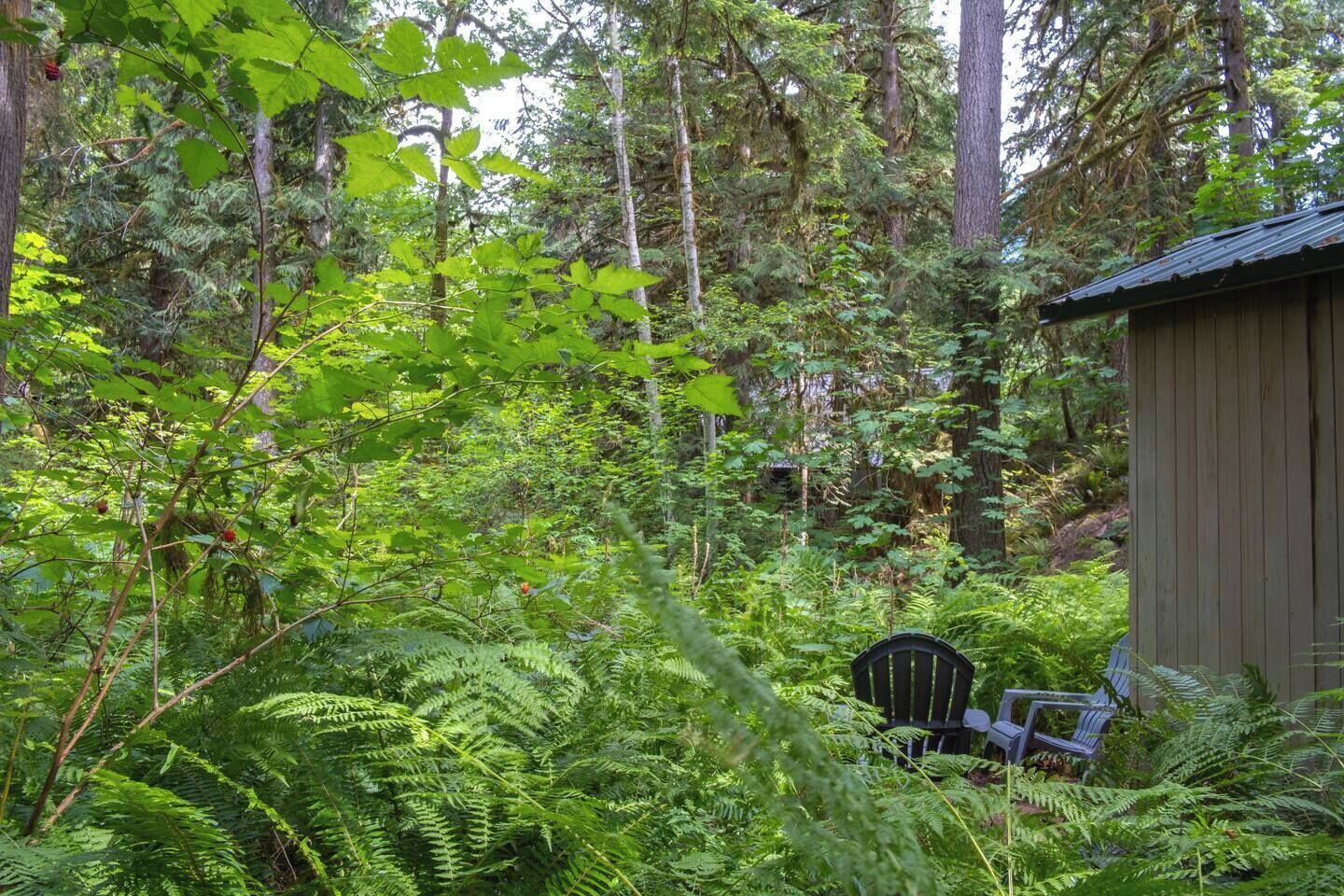 A forested area with a wooden structure, possibly a cabin, and a chair.