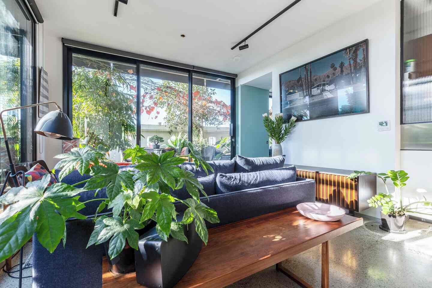 A modern living room with a sofa, a coffee table, and large windows.