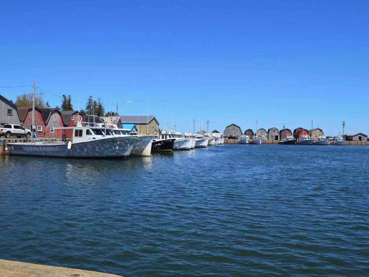 A marina with boats docked, a clear sky, and buildings in the background.