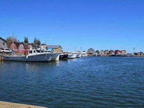A marina with boats docked, a clear sky, and buildings in the background. - The Sea Drift by MemoryMakerCottages by the Beach! (Kensington)