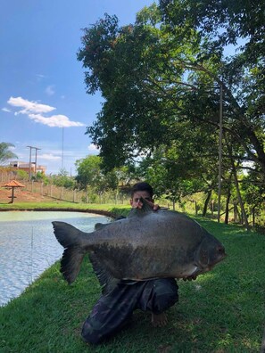 Une personne tenant un gros poisson près d’une étendue d’eau, avec des arbres et une clôture en arrière-plan.