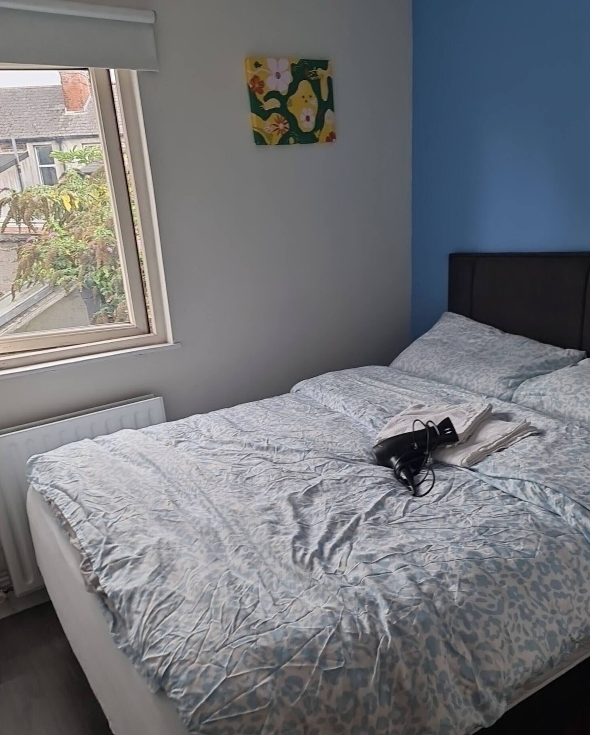 House, 1 Bedroom