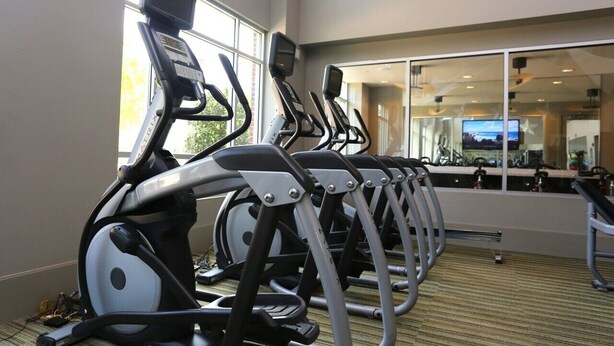 Varias bicicletas estáticas en un gimnasio con amplias ventanas y vista a la ciudad.