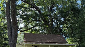 A single-story house with a porch, surrounded by trees and grass.