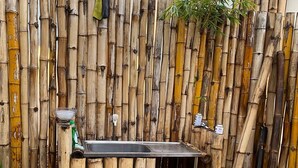 A bamboo fence with a metal sink and a small shelf. - Cozzy Bantaran Riverside (pangalengan)