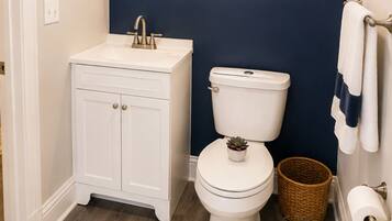 Hair dryer, towels, soap, toilet paper