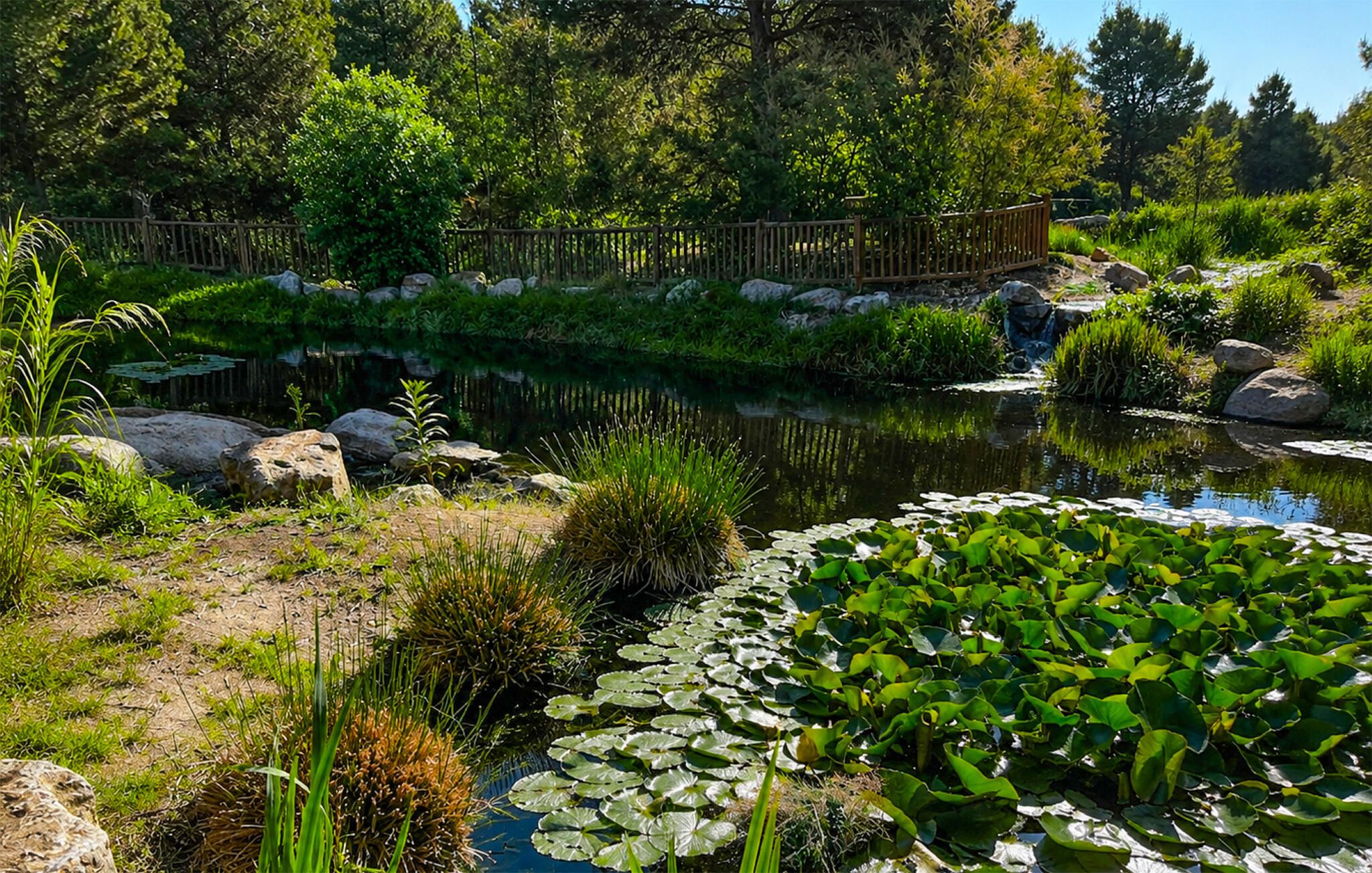 A serene pond with lily pads, surrounded by rocks and greenery, with a wooden bridge crossing over.