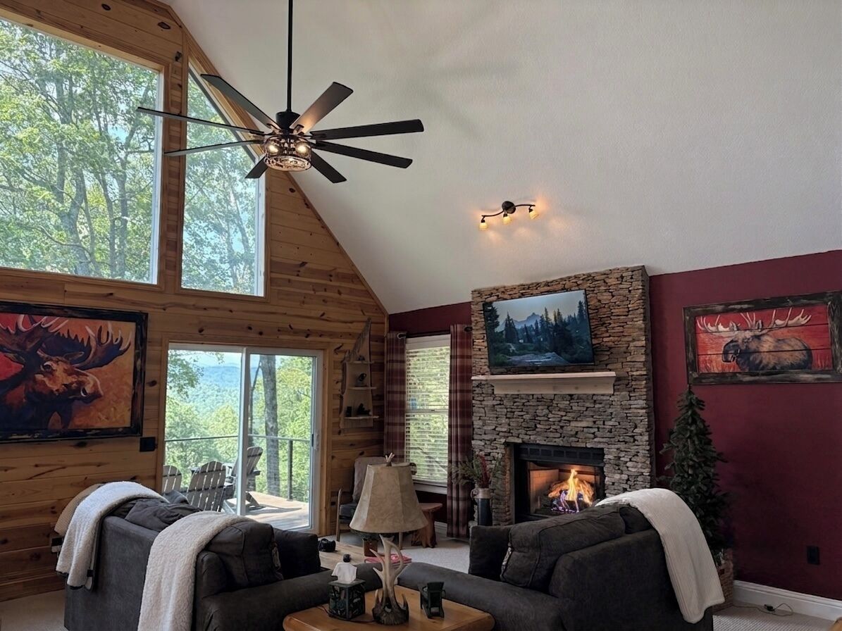 Smart TV, fireplace, books