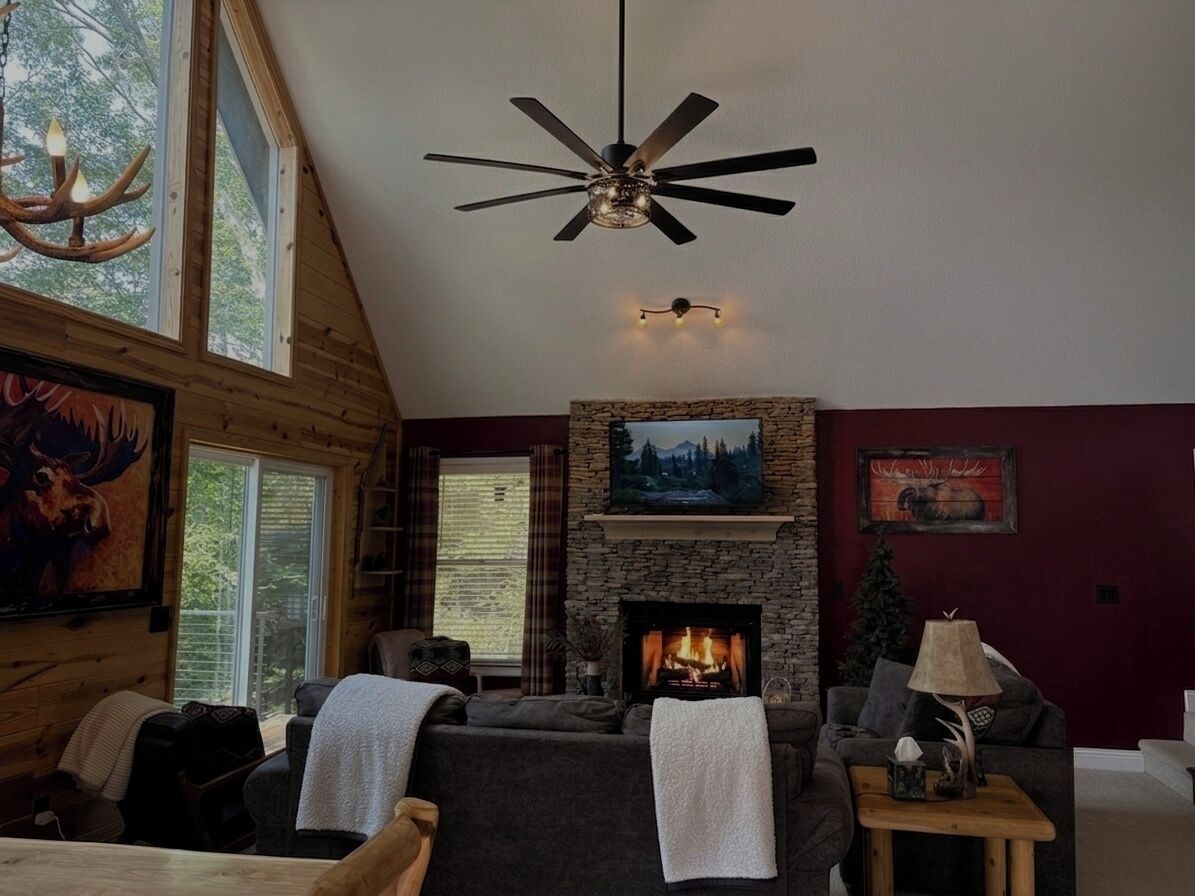 Smart TV, fireplace, books