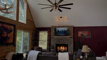 Smart TV, fireplace, books