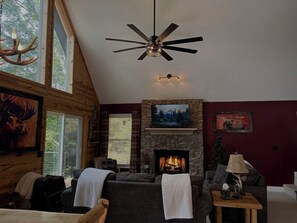 Smart TV, fireplace, books