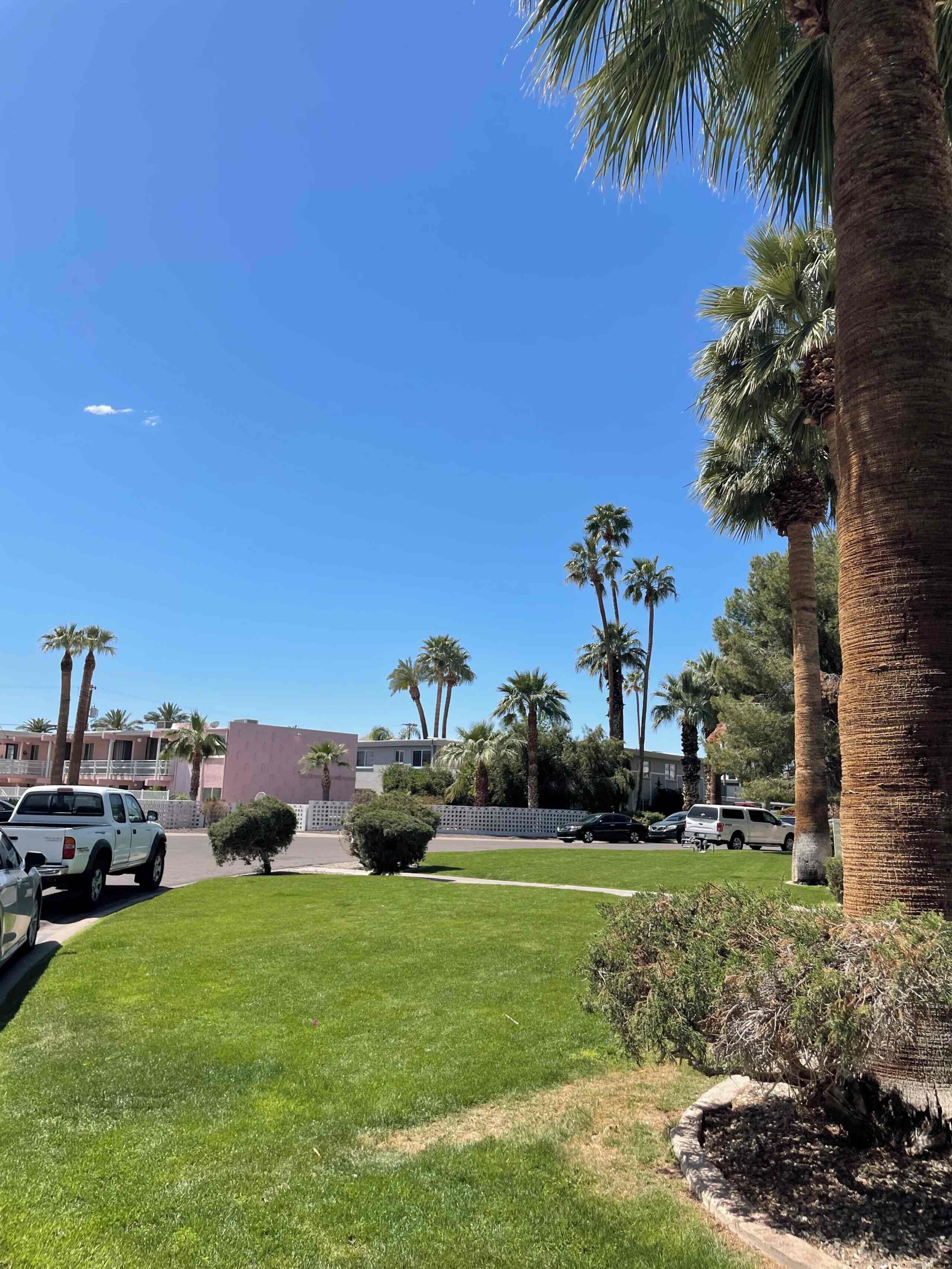 A parking lot with several vehicles, surrounded by palm trees and a building with a pink facade.