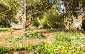 Un jardín con dos hamacas colgadas de árboles, rodeado de follaje y flores.