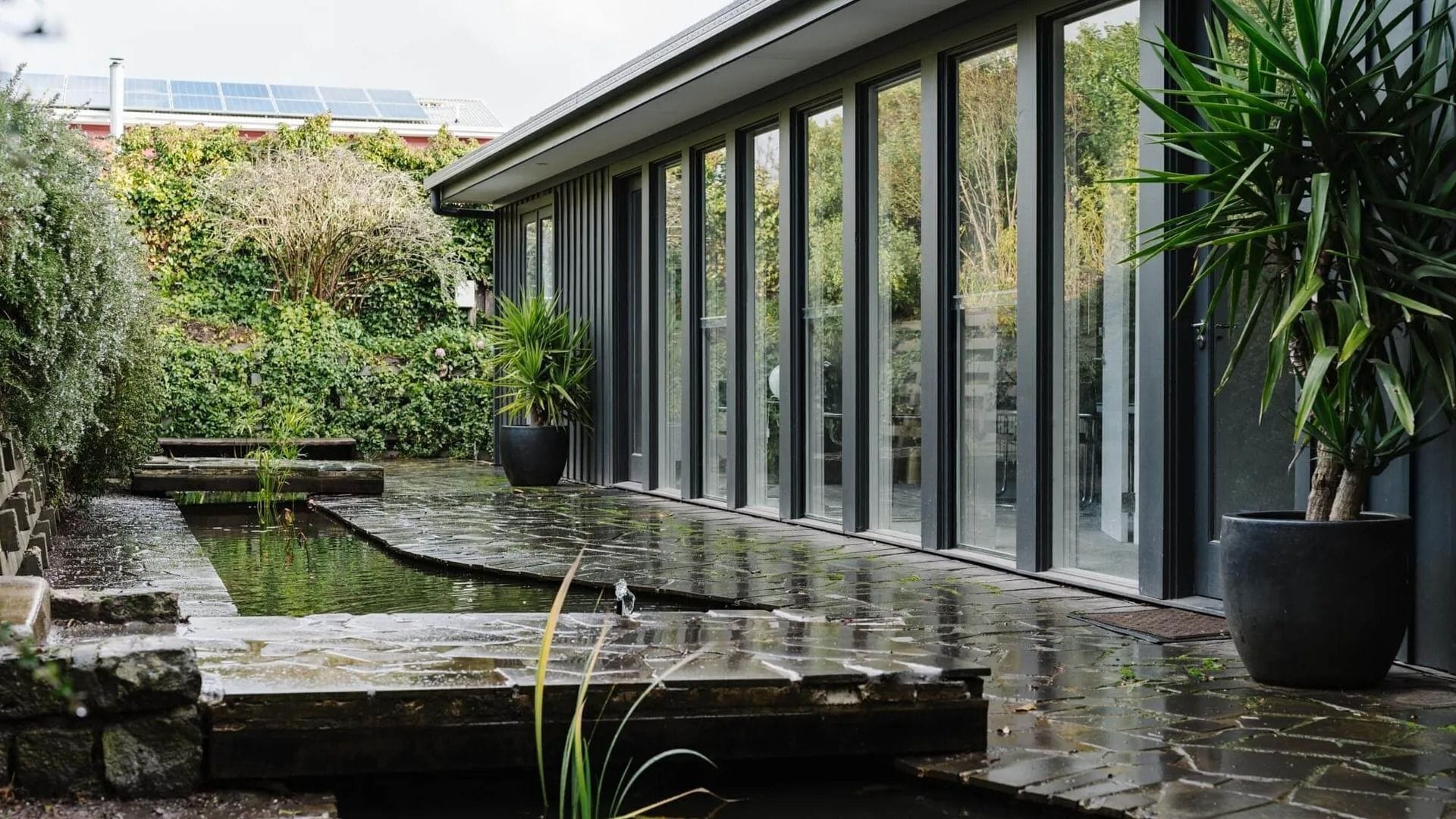 A modern building with large glass windows, a stone pathway, and a small water feature.