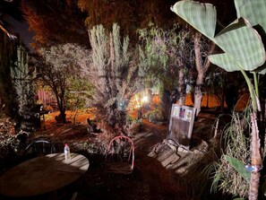 An outdoor dining area with tables and chairs, surrounded by various plants and trees.