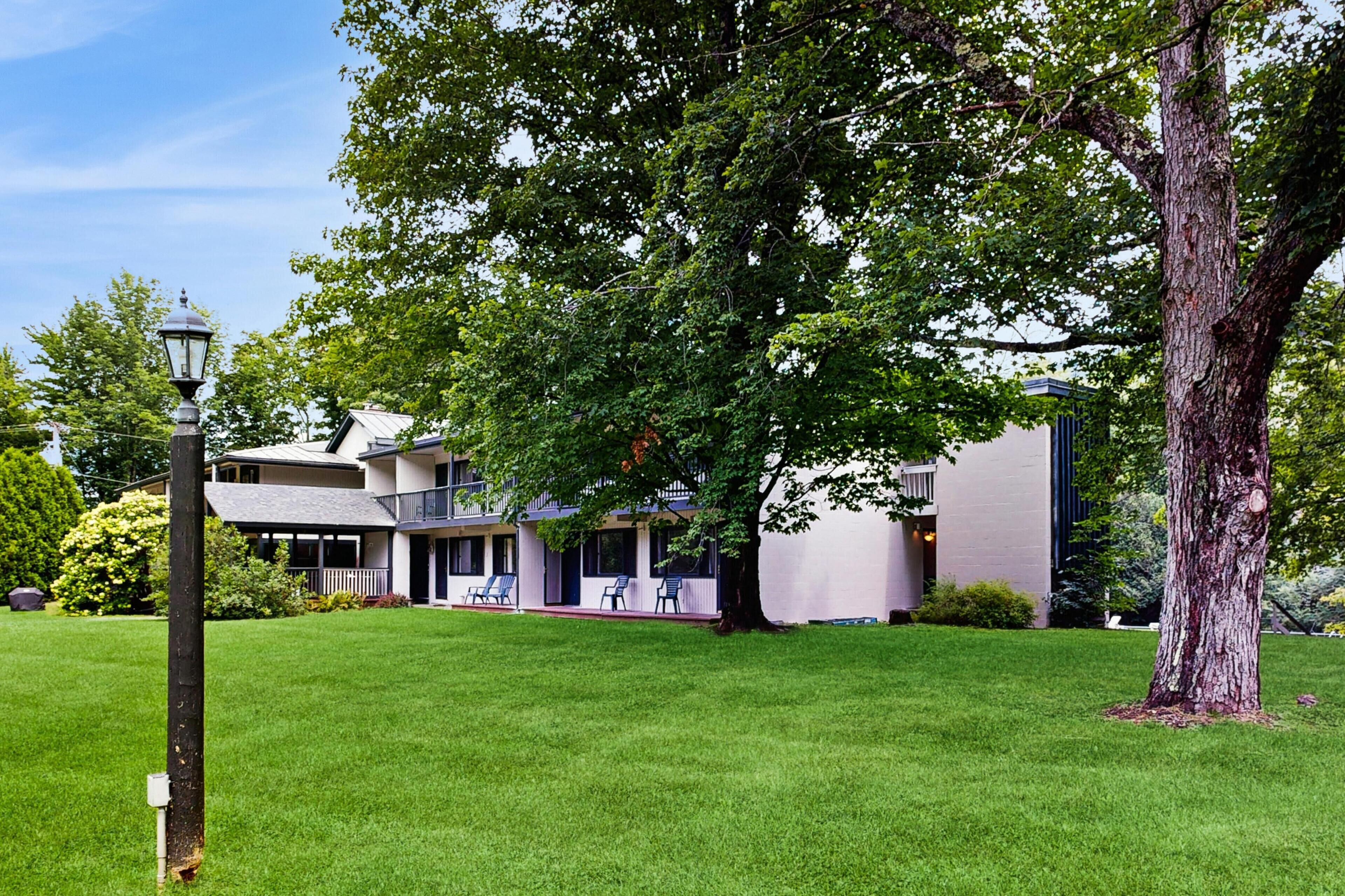 A building with a covered outdoor seating area and a large tree in the foreground.