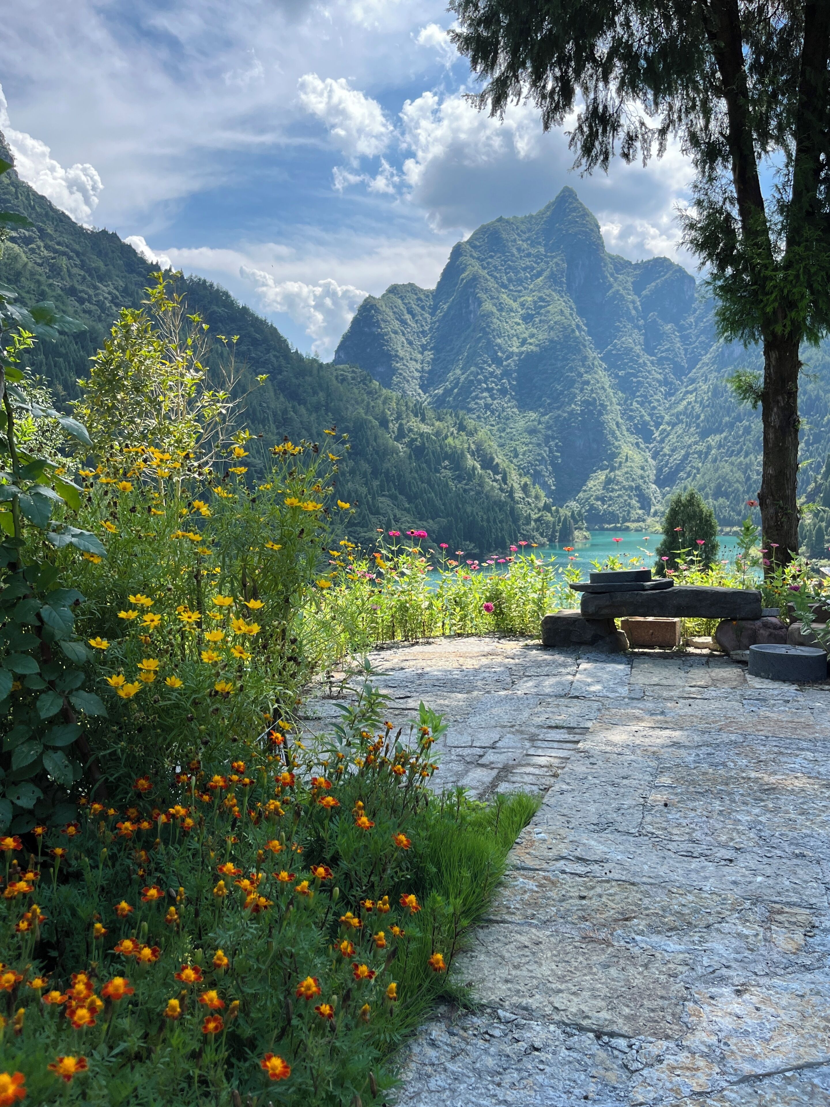 Jardines del alojamiento