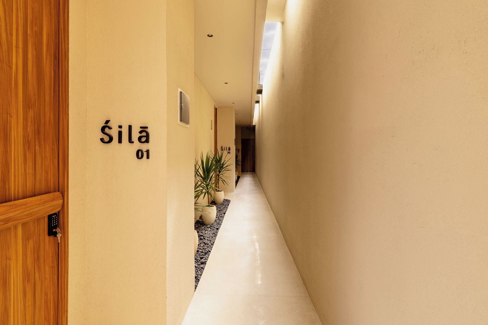 Un pasillo con una puerta de madera, un letrero en la pared que dice 'Sila 01' y plantas en macetas.