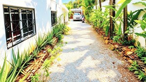 A narrow gravel path flanked by white buildings and tropical vegetation. - Bungalow with a pool, just a few minutes from the beaches (Las Terrenas)