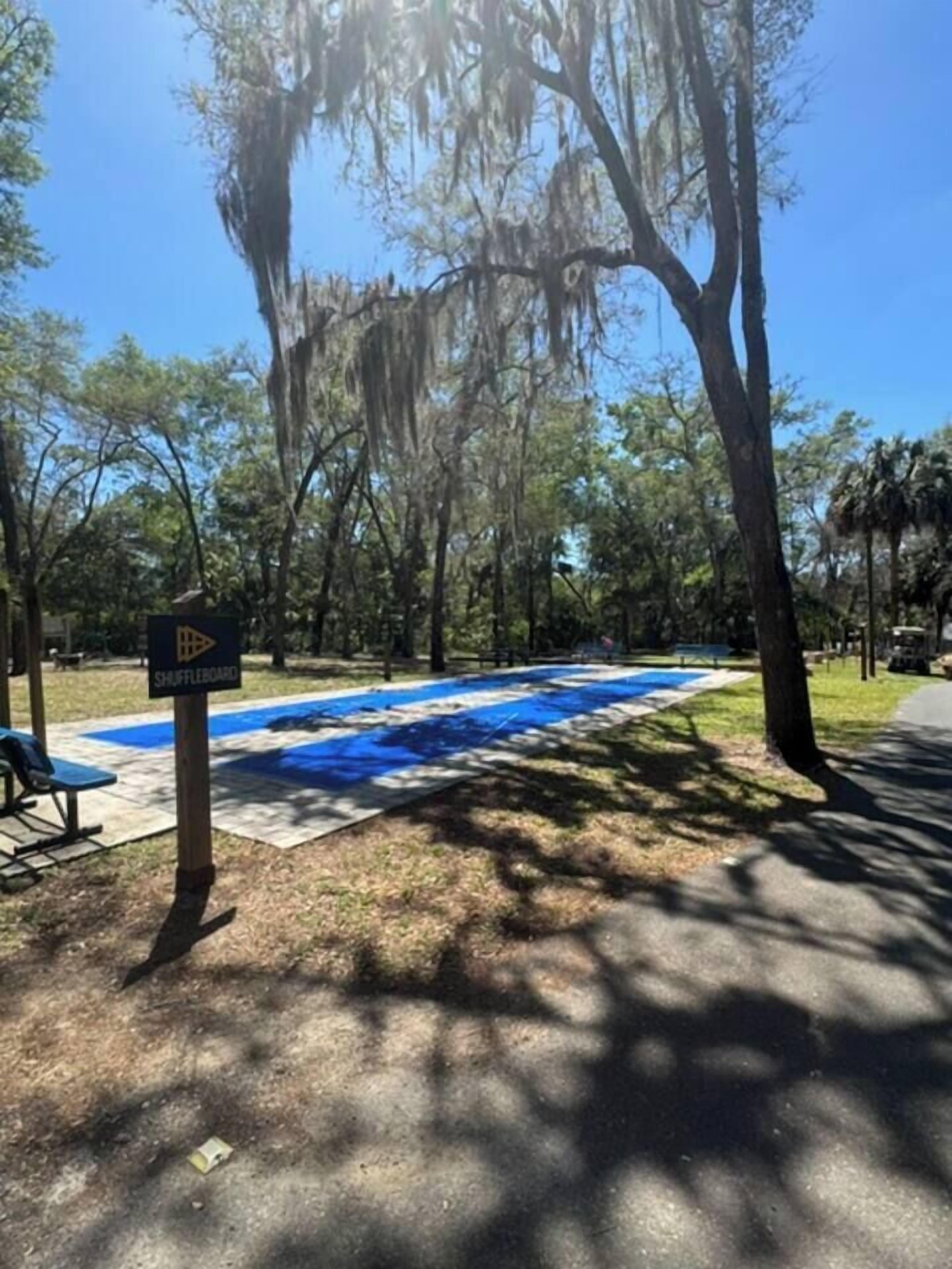 A pool area with a shuffleboard table, surrounded by trees and shaded by large branches.