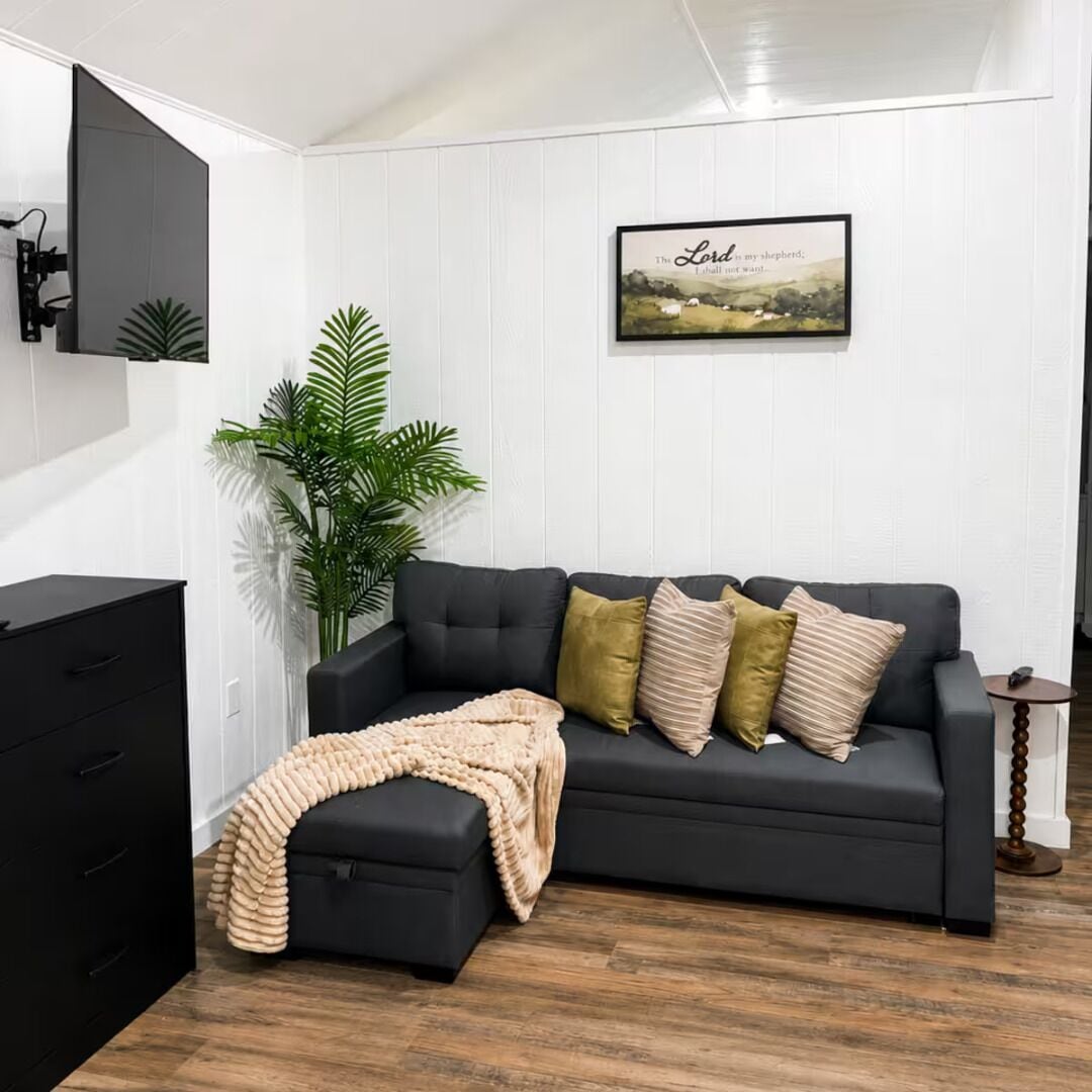 A modern living room with a dark grey sofa, a beige throw blanket, and a potted plant.