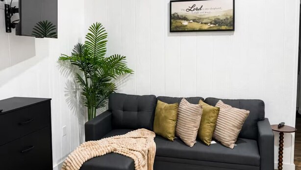Ein modernes Wohnzimmer mit einem dunkelgrauen Sofa, einer beige farbenen Tagesdecke und einer Topfpflanze.