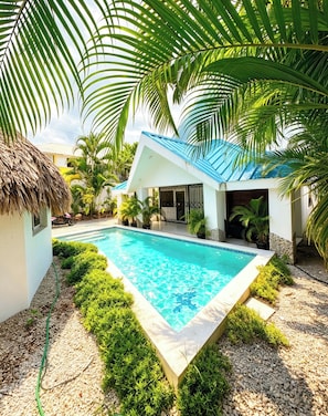 Pool - Private House or Villa | Large Pool, Beaches 10 Minutes Away (Las Terrenas)