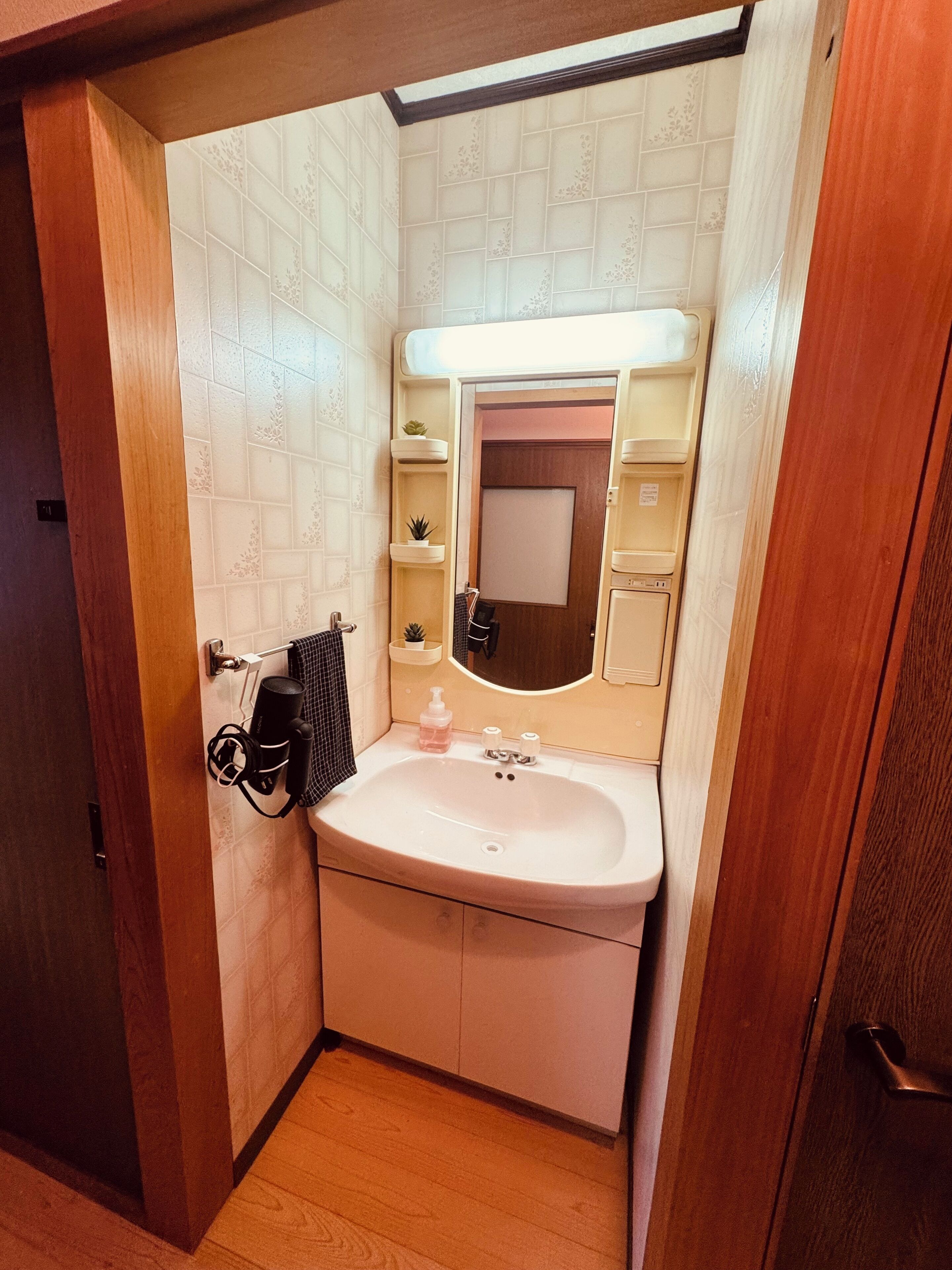 A compact bathroom with a white sink, a mirror, and a small shelf with a plant.